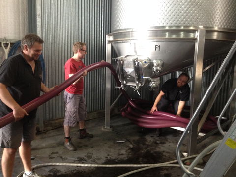 La Prova Wines - Accommodation Cairns 2