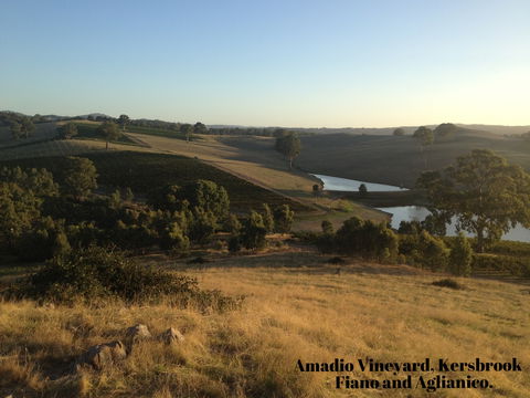 La Prova Wines - Accommodation Cairns 3