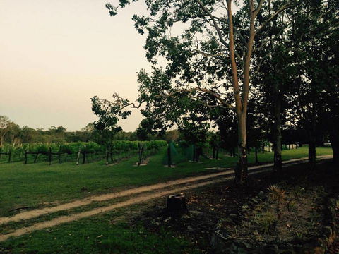 Brierley Wines - Accommodation Cairns 0