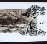 Douglas Arts Inc - Accommodation Cairns