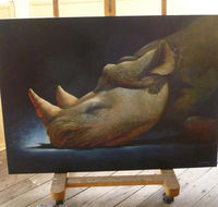 Art on Pallas - Accommodation Cairns