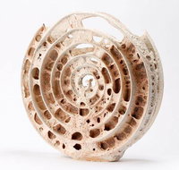 Noosa Regional Gallery - Accommodation Cairns