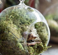 Moxom and Whitney - Accommodation Cairns