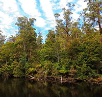 A R Reflections River Cruises - Accommodation Cairns