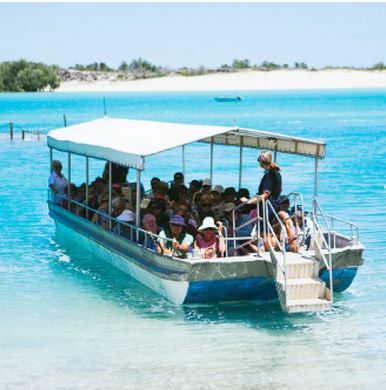 Willie Creek Pearl Farm - Accommodation Cairns 0