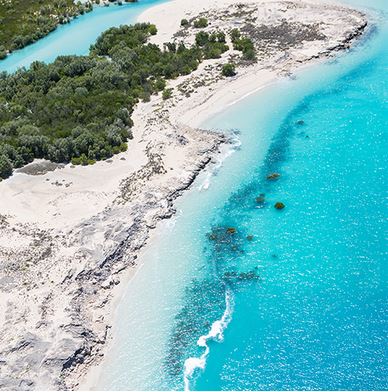 Willie Creek Pearl Farm - Accommodation Cairns 2