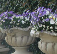 Gardenalia Open Garden and Rare Plant Nursery - Accommodation Cairns