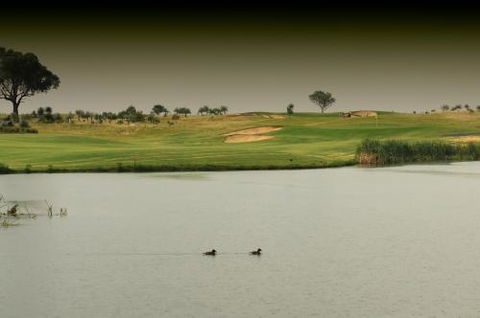 Thorny’s Putt-Putt - Accommodation Cairns 1