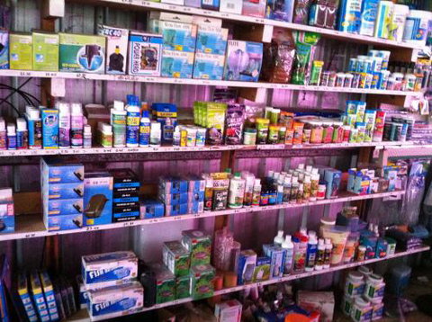 Hurley’s Aquariums - Accommodation Cairns 1