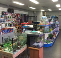 Nambour Pet Shop - Accommodation Cairns