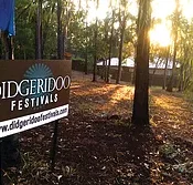 Didgeridoo Jam in the Park - Accommodation Cairns