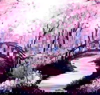 Pink Forest - Boardwalk Bar 4.00-6.00pm - Accommodation Cairns
