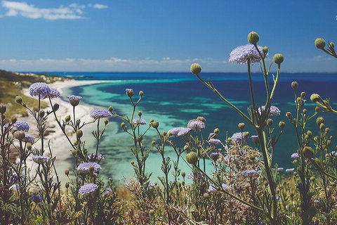 Rottnest Island Full-Day Trip With Guided Island Tour From Perth - Accommodation Cairns 6