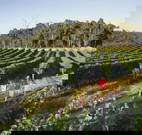 Margaret River Caves Wine and Cape Leeuwin Lighthouse Tour from Perth - Accommodation Cairns
