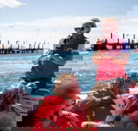 Rottnest Island Tour from Perth or Fremantle including Adventure Speed Boat Ride - Accommodation Cairns