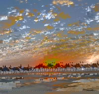 1 Hour Broome Sunset Camel Tour - Accommodation Cairns