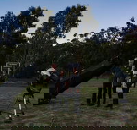 Stargazing Busselton with Mobile Observatory - Accommodation Cairns