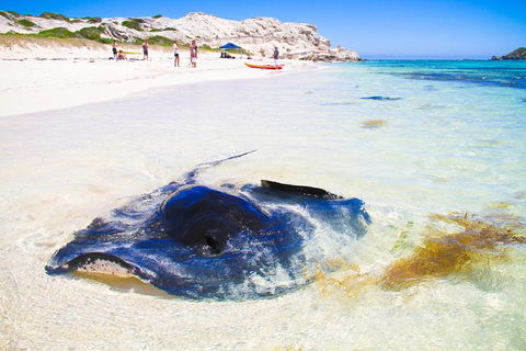 Private Custom Margaret River Tour - Accommodation Cairns 0