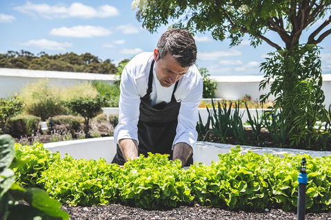 Voyager Estate: Private Winery Tasting Tour In Margaret River With Lunch - Accommodation Cairns 8
