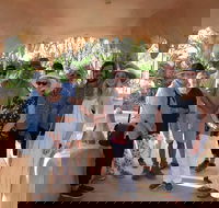 3 in 1 Tour Matsos Brewery 12 Mile Bird Park  Malcolm Douglas Crocodile Park - Accommodation Cairns