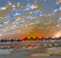 Broome City Sightseeing Tour with Optional Camel Ride - Accommodation Cairns