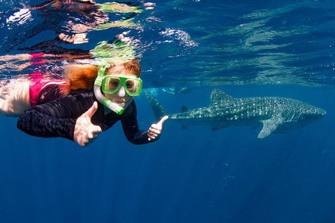 VIP Luxury Chartered Escapes, Exploring The Reef At Your Own Pace - Accommodation Cairns 20