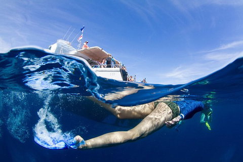 VIP Luxury Chartered Escapes, Exploring The Reef At Your Own Pace - Accommodation Cairns 40