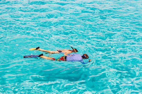 VIP Luxury Chartered Escapes, Exploring The Reef At Your Own Pace - Accommodation Cairns 29