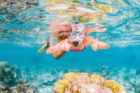 VIP Luxury Chartered Escapes, Exploring The Reef At Your Own Pace - Accommodation Cairns 48