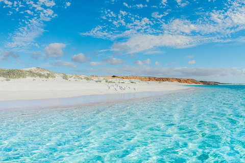 VIP Luxury Chartered Escapes, Exploring The Reef At Your Own Pace - Accommodation Cairns 36