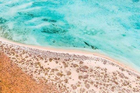 VIP Luxury Chartered Escapes, Exploring The Reef At Your Own Pace - Accommodation Cairns 4