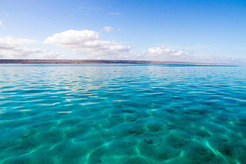 VIP Luxury Chartered Escapes, Exploring The Reef At Your Own Pace - Accommodation Cairns 32