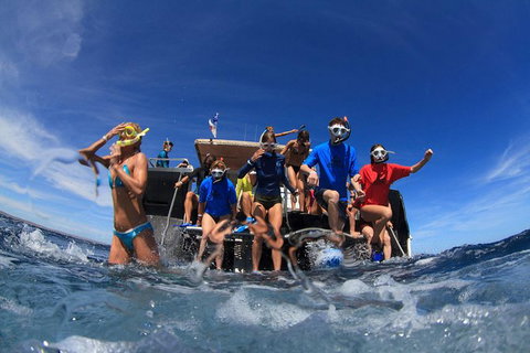 VIP Luxury Chartered Escapes, Exploring The Reef At Your Own Pace - Accommodation Cairns 17