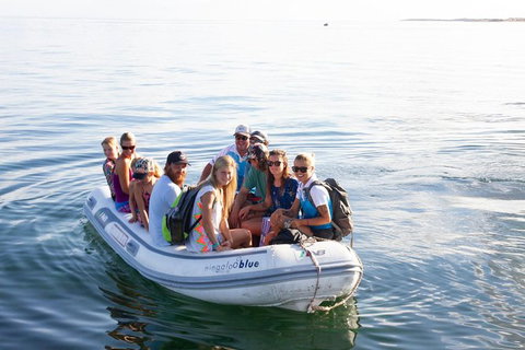 VIP Luxury Chartered Escapes, Exploring The Reef At Your Own Pace - Accommodation Cairns 43