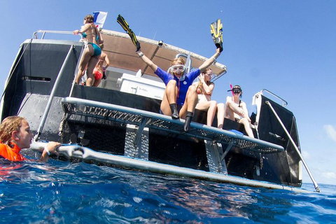 VIP Luxury Chartered Escapes, Exploring The Reef At Your Own Pace - Accommodation Cairns 25