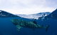 VIP Luxury Chartered Escapes, Exploring The Reef At Your Own Pace - thumb 51