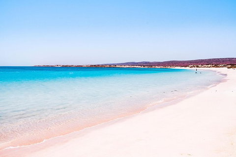 VIP Luxury Chartered Escapes, Exploring The Reef At Your Own Pace - Accommodation Cairns 45