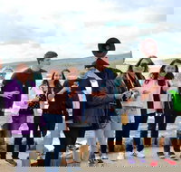 Margaret River Wine and Sights Discovery Tour from Busselton or Dunsborough - Accommodation Cairns