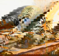 1.5-Hour Historical Pearl Luggers Tour in Broome - Accommodation Cairns