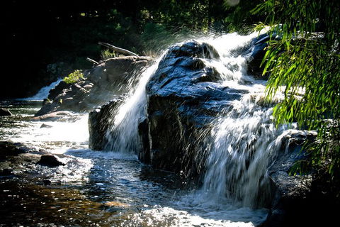 Margaret River Wine Adventure - The Tour For People Who Don\'t Do Tours! - Accommodation Cairns 17