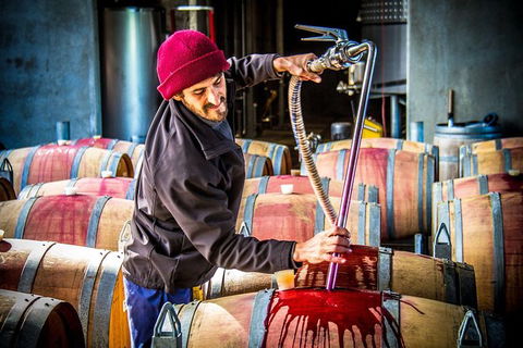 Margaret River Wine Adventure - The Tour For People Who Don\'t Do Tours! - Accommodation Cairns 20