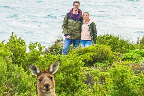 Margaret River Wine Adventure - The Tour For People Who Don\'t Do Tours! - Accommodation Cairns 3