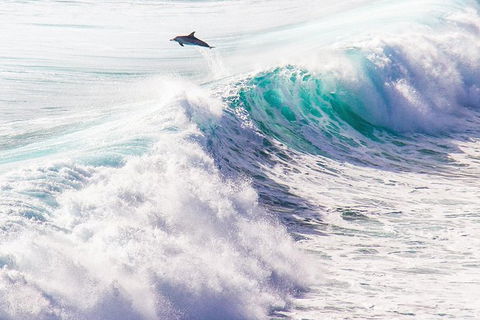 Margaret River Wine Adventure - The Tour For People Who Don\'t Do Tours! - Accommodation Cairns 29