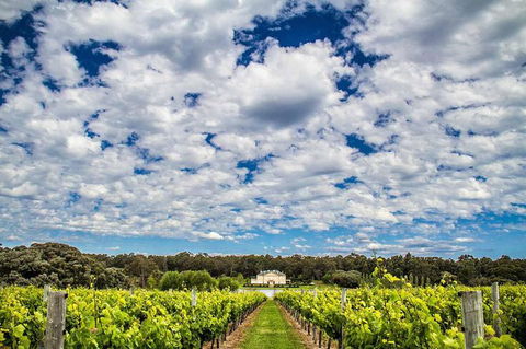 Margaret River Wine Adventure - The Tour For People Who Don\'t Do Tours! - Accommodation Cairns 14