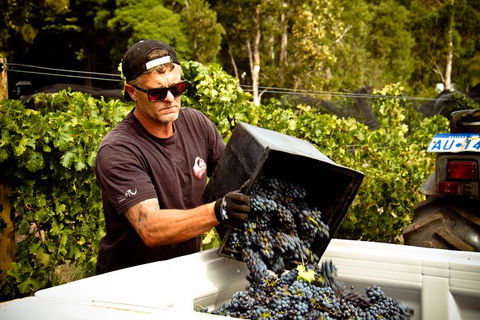 Margaret River Wine Adventure - The Tour For People Who Don\'t Do Tours! - Accommodation Cairns 26