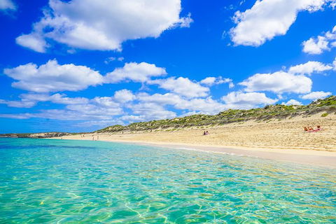 Margaret River Wine Adventure - The Tour For People Who Don\'t Do Tours! - Accommodation Cairns 24