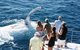 Half-Day Whale Watching Sunset Cruise From Broome - thumb 0