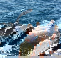 Half-Day Whale Watching Sunset Cruise from Broome - Accommodation Cairns