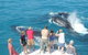 Half-Day Whale Watching Sunset Cruise From Broome - thumb 12