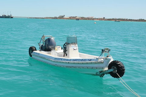 Half-Day Whale Watching Sunset Cruise From Broome - Accommodation Cairns 4